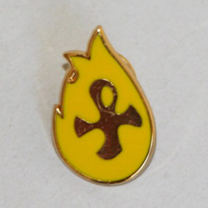 Insigne de démarche de choix Feu Nouveau